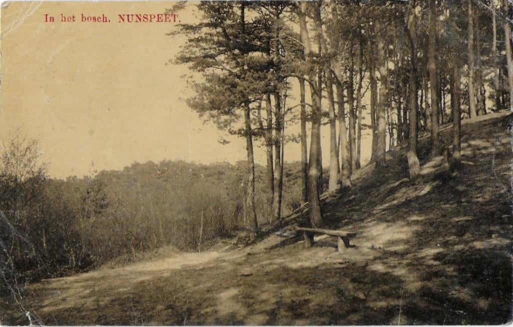 Nunspeet in het Bosch Oude Gelopen Ansichtkaart ( B1679 ), Ophalen of Verzenden, 1920 tot 1940, Gelopen, Gelderland