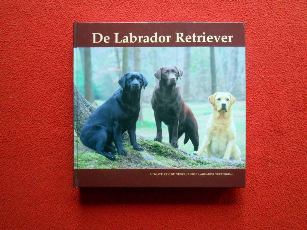 Roswitha M. Lubbers: De Labrador Retriever, Ophalen of Verzenden, Nieuw, Honden