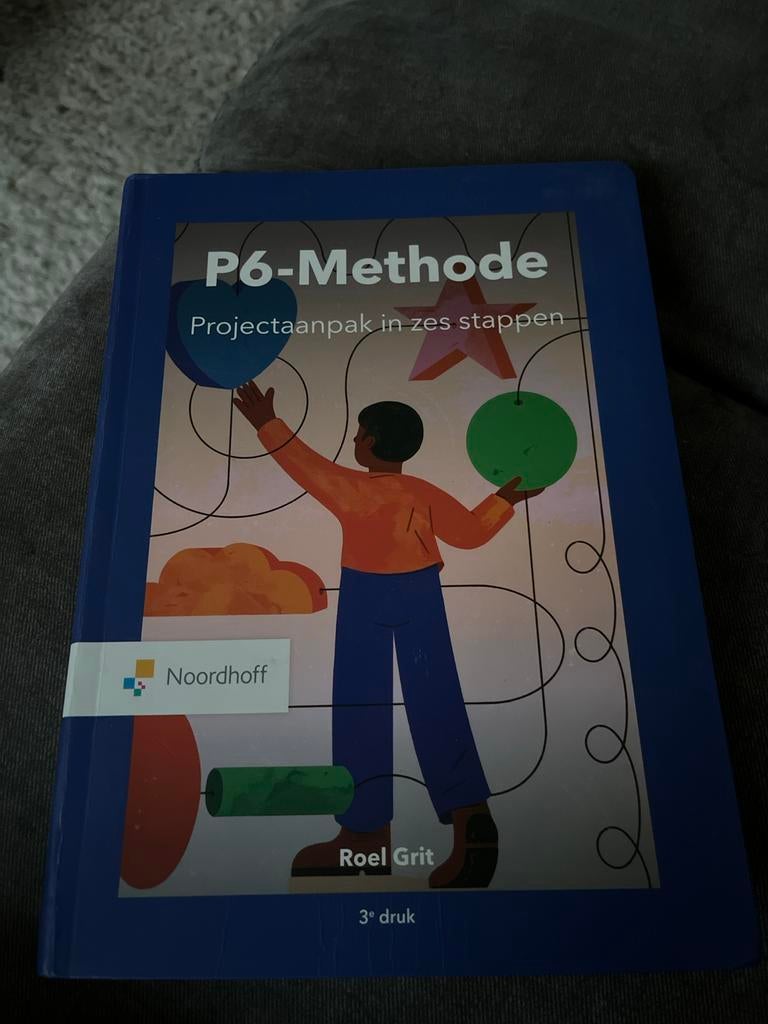 P6-Methode: Projectaanpak in zes stappen - Roel Grit, Boeken, Ophalen of Verzenden, Gamma, Zo goed als nieuw, HBO