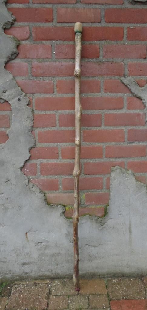 Lange stevige WANDELSTOK natuurlijke vervormingen ( 28 ), Ophalen of Verzenden, Nieuw, Overige typen