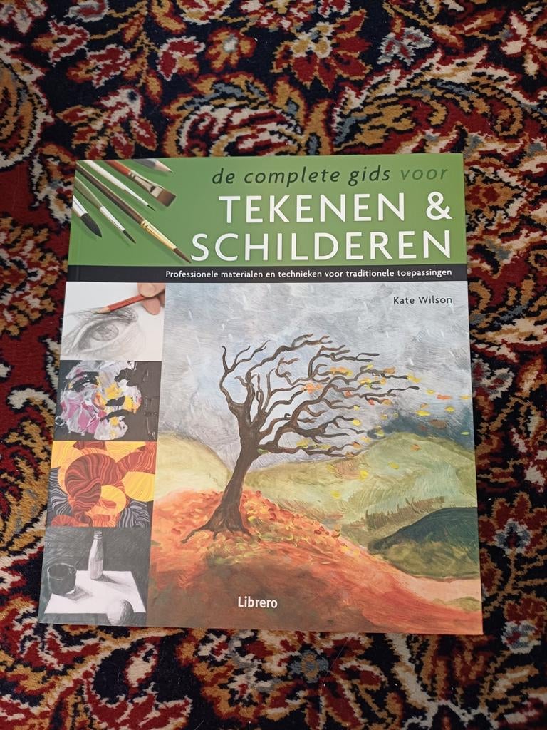 De complete gids voor tekenen & schilderen, Boeken, Ophalen of Verzenden, Zo goed als nieuw, Schilder- en Tekenkunst, Kate Wilson