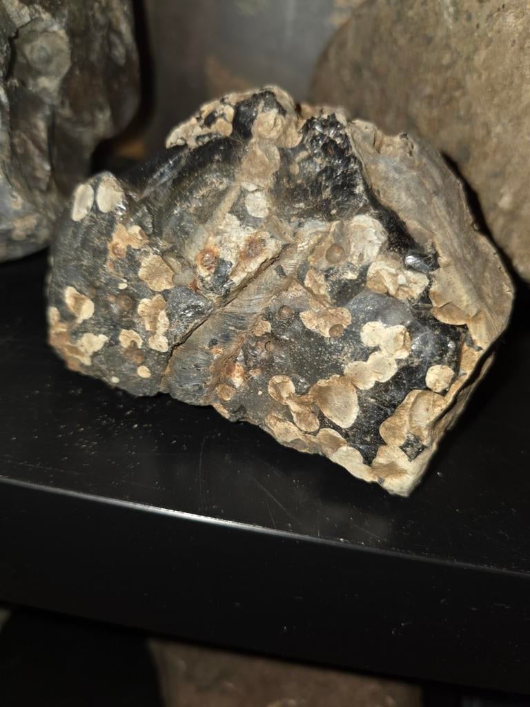 Ijzerhoudende meteoriet moskovite stollingsgesteente, Ophalen of Verzenden