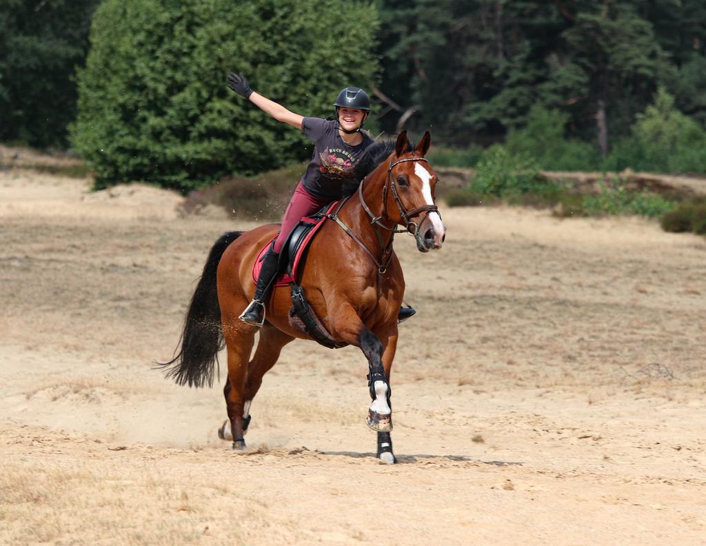 Bijrijd / leasebaard gezocht. Bijrijdster aangeboden, Dieren en Toebehoren, Paarden en Pony's | Verzorgingsproducten, Ophalen of Verzenden