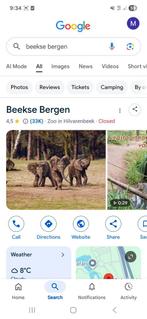 Beekse Bergen 4 tickets, Drie personen of meer, Ticket of Toegangskaart