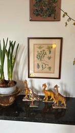 Antieke chromolithografie Atlas of Botany A. Masclef 1893, Ophalen of Verzenden