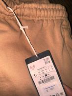 NIEUW ZARA JOGGINGPAK, Ophalen of Verzenden, Nieuw, Maat 52/54 (L)