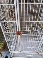 GRATIS OPHALEN Kooi voor grote parkieten, kleine papagaaien., Dieren en Toebehoren, Vogels | Hokken en Kooien, Ophalen, Gebruikt