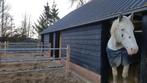 Complete Paardenstal 15x7,3m – Metalen Spanten– Gedemonteerd
