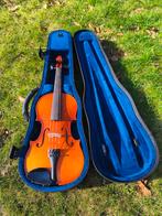 Roderich Paesold 4/4 viool, Ophalen of Verzenden, 4/4-viool