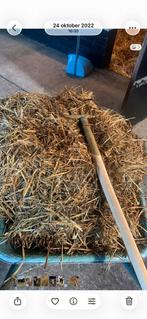 Gratis paardenmest / tuinmest - Grote bult, Ophalen, Mest