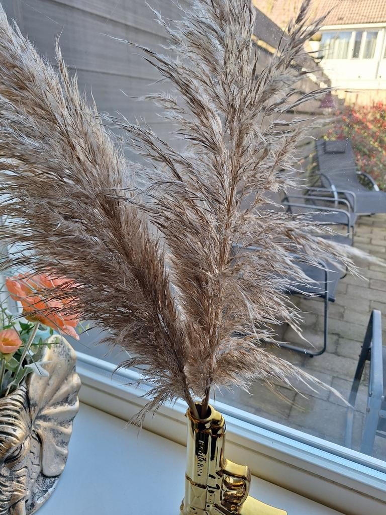 Pampa pluimen decoratie, Verzenden