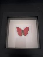 Ingelijste rode vlinder - Vlinders in Lijst, Ophalen of Verzenden