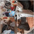 Gratis ophalen maat 86/ 92, Kinderen en Baby's, Kinderkleding | Maat 92, Ophalen, Zo goed als nieuw, Jongen