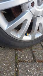 Gele en blauwe ventieldopjes voor de auto, Ophalen of Verzenden, Nieuw