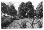 Waddinxveen, Plasweg, Ophalen of Verzenden, 1960 tot 1980, Ongelopen, Zuid-Holland