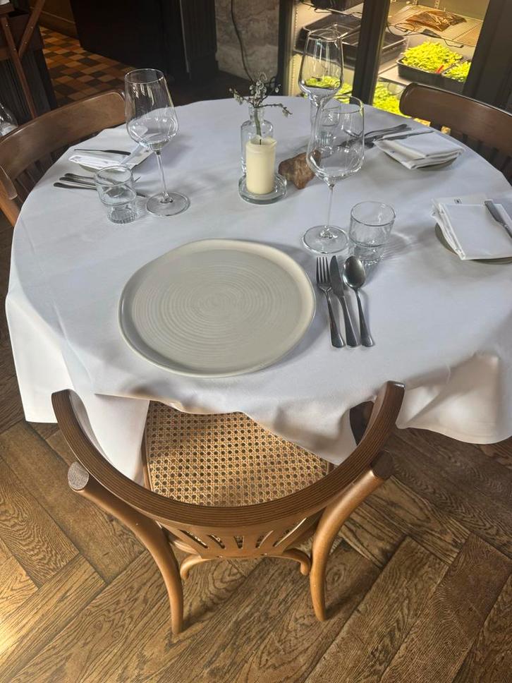 Dudson borden (pizza 33 cm en hoofdgerecht 29 cm), Huis en Inrichting, Keuken | Servies, Gebruikt, Bord(en), Effen, Keramiek, Ophalen of Verzenden