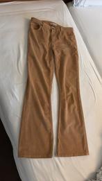 Studio Anneloes flared smalle rib koekjes bruin M, Maat 38/40 (M), Bruin, Ophalen of Verzenden, Zo goed als nieuw