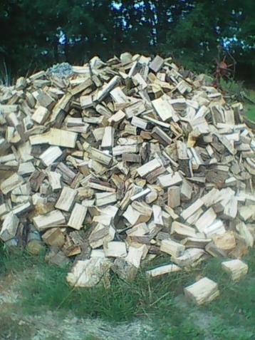 grof gekloofd brandhout beschikbaar voor biedingen