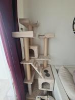 Kattenboom met krabpaal, Ophalen, Krabpaal