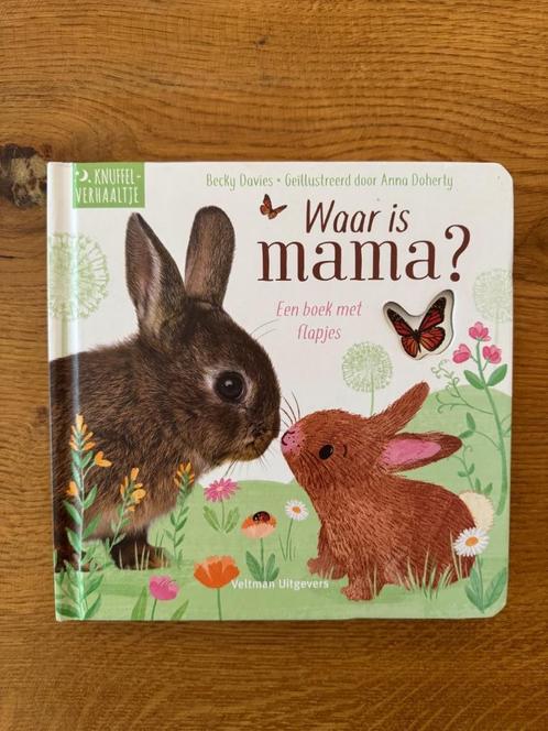Waar is mama? Een boek met flapjes - Becky Davies, Boeken, Kinderboeken | Jeugd | onder 10 jaar, Zo goed als nieuw, Fictie algemeen
