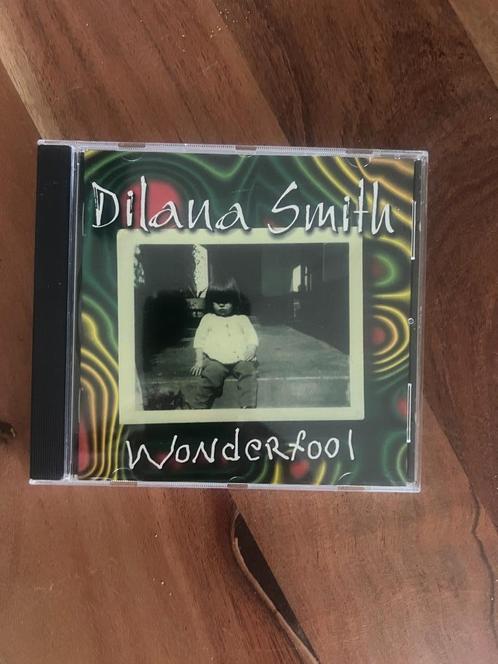 CD Dilana Smith - Wonderfool year:2000 NL, Cd's en Dvd's, Cd's | Hardrock en Metal, Zo goed als nieuw, Ophalen of Verzenden
