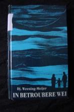 IN BETROUBERE WEI door Dj Weening-Meijer friestalig, Boeken, Romans, Ophalen of Verzenden, Gelezen