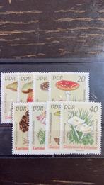 Thema Paddestoelen (DDR), Postzegels en Munten, Postzegels | Thematische zegels, Verzenden, Postfris, Dier of Natuur