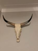 Buffel schedel decoratie, Huis en Inrichting, Ophalen of Verzenden, Gebruikt