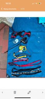 Hondenriemen, Dieren en Toebehoren, Ophalen, Gebruikt