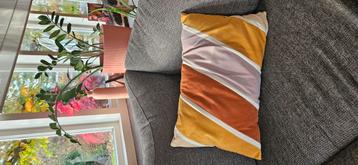 Gezellig kussen  beschikbaar voor biedingen