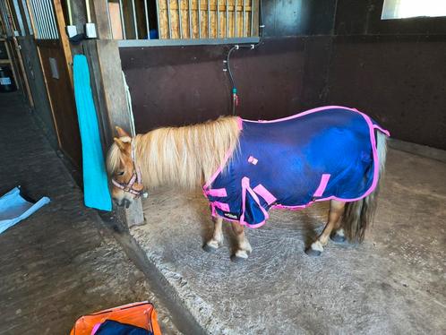 Shetlander vliegendeken te koop maat 70/95, Dieren en Toebehoren, Paarden en Pony's | Dekens en Dekjes, Zo goed als nieuw, Ophalen of Verzenden