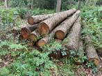 Stammen Rondhout Douglas/Larix, Ophalen of Verzenden, Zo goed als nieuw, 250 cm of meer, Palen