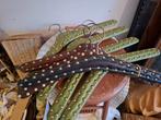 Vintage Kledinghangers- 16 stuks, Ophalen of Verzenden