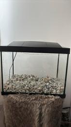 Aquarium, Dieren en Toebehoren, Vissen | Aquaria en Toebehoren, Ophalen of Verzenden, Gebruikt, Leeg aquarium