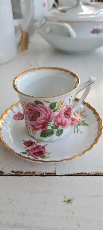 Kop en schotel Rheinpfalz Hartpozellan bloemenservies beschikbaar voor biedingen