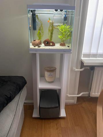 Aquarium met meubel en volledige uitrusting beschikbaar voor biedingen