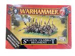 Warhammer Fantasy Skaven Clanrat Regiment, ., Warhammer, Ophalen of Verzenden, Zo goed als nieuw
