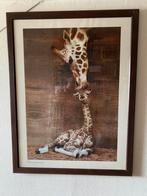 Giraffe Poster met Frame, Huis en Inrichting, Ophalen, Minder dan 50 cm, 50 tot 75 cm, Zo goed als nieuw