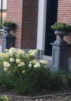 Unieke & sierlijke italiaanse betonnen bloempotten & zuilen, Tuin en Terras, Bloempotten, Ophalen, 40 cm of meer, Rond, Nieuw