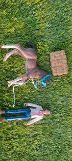 Schleich dierenarts met veulen (L), Ophalen of Verzenden, Zo goed als nieuw