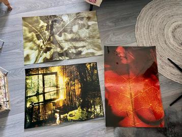 Grote handgedrukte doka foto’s fotografie landschap vrouw beschikbaar voor biedingen