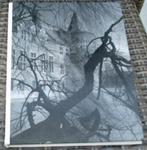 Cas Oorthuys: Helmond, een kasteel tussen fabrieken., Ophalen of Verzenden, Zo goed als nieuw, Fotografen
