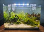 Aquarium Nano scaper's tank 35L, Dieren en Toebehoren, Gebruikt, Ophalen, Leeg aquarium