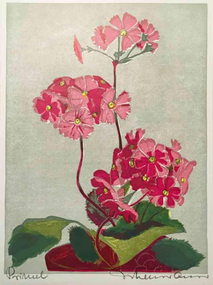 Mooie en betaalbare kunst v/h Grafiekkabinet, Antiek en Kunst, Kunst | Etsen en Gravures, Verzenden
