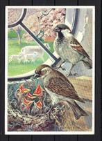 650 VOGELS, Mussen, Ophalen of Verzenden, 1980 tot heden, Gelopen, Natuur