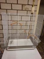 Vogel kooi nieuw, Dieren en Toebehoren, Ophalen of Verzenden, Nieuw, Metaal, Vogelkooi