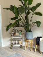 Vintage trolley / bar cart /  coctailkar, Huis en Inrichting, Ophalen, Gebruikt, 50 tot 100 cm, 25 tot 50 cm