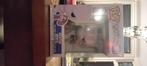 Mewtwo funkopop, Verzamelen, Poppetjes en Figuurtjes, Ophalen of Verzenden, Zo goed als nieuw