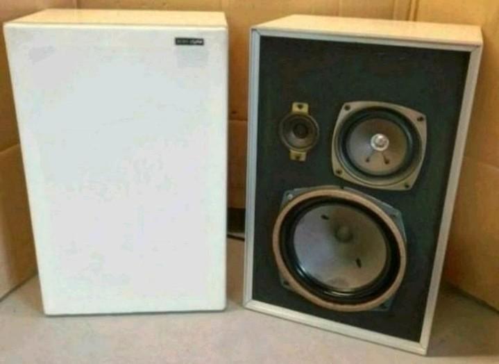 Scan dyna luidsprekers 3weg vintage, Audio, Tv en Foto, Luidsprekers, Ophalen of Verzenden