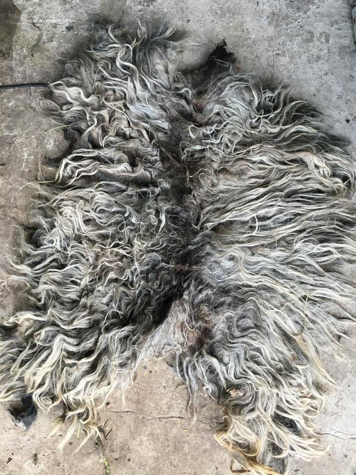 Viltvachten wol voor vachtvilten & spinwol bio schapenvacht, Hobby en Vrije tijd, Knutselen, Nieuw, Materiaal, Ophalen of Verzenden